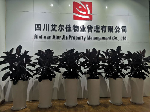 企業(yè)相冊